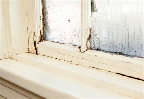 fix leaking window frame|5 Reasons Your Windows Are Leaking (And How to Fix Them)